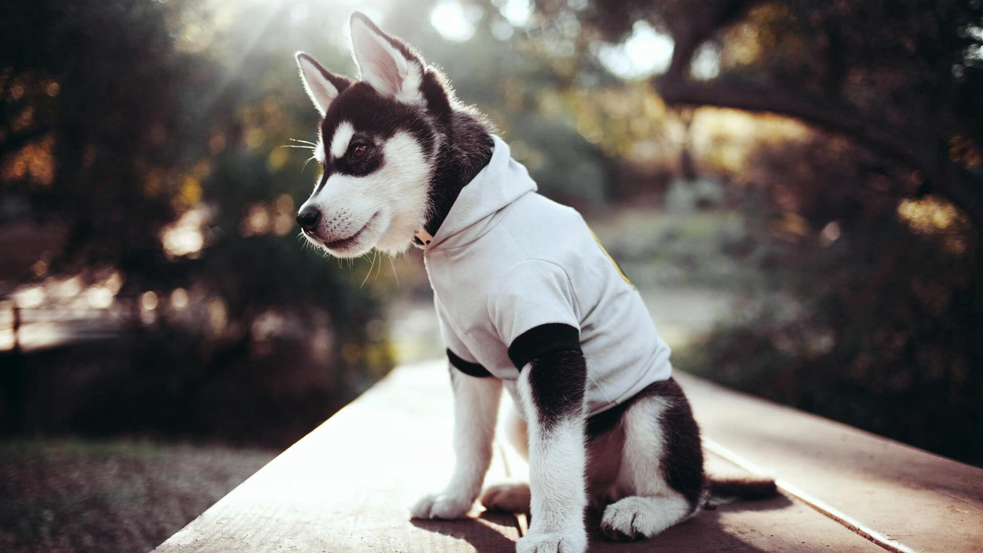 开云体育-铁壁窒息！马竞锁死洪都拉斯进攻命脉，格纳布里化身关键钥匙