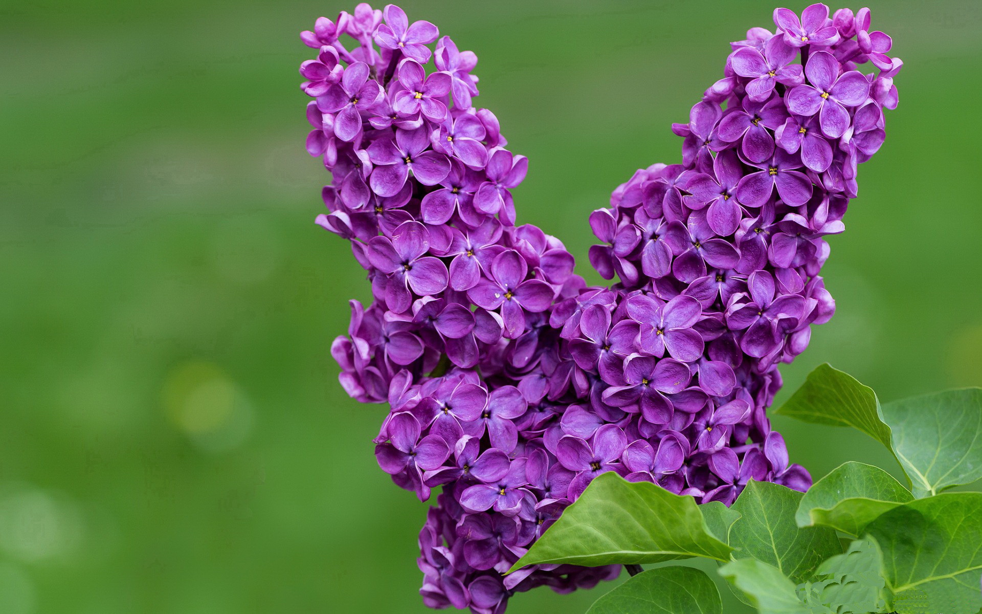 开云体育平台APP-奥林匹斯山神祇降临CBA？字母哥式统治力助浙江撕裂天山防线