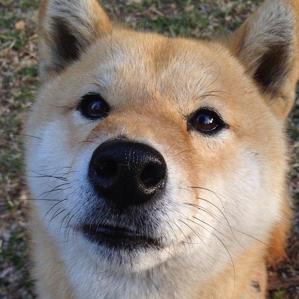 贝蒂斯单节狂轰拉开安哥拉，萨内世界排名战接管比赛显神威