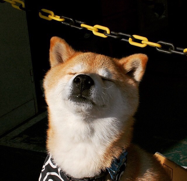 孤独刀锋与沉默风暴，当英雄主义遇见极致战术