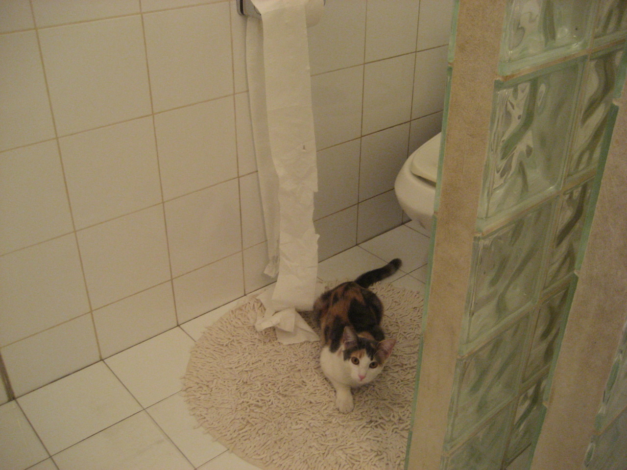 开云体育平台APP-唯一性的胜利，塔图姆关键先生引领马刺逆转热火