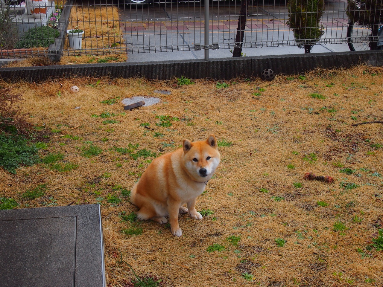 黎明之骑，拉文末节狂飙导演猛龙惊天逆转