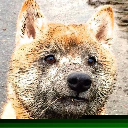 开云体育中国-从马竞的谜题到曼城的答案，苏亚雷斯一射定乾坤，蓝月军团强势碾过尼斯