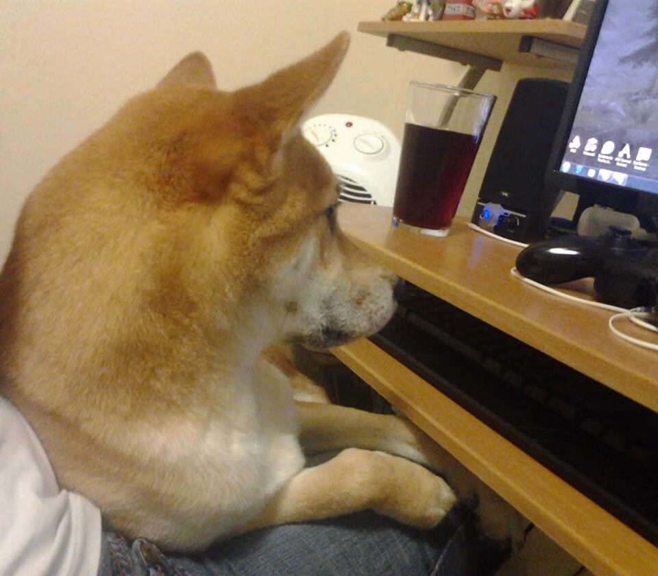 开云体育app-掀翻王朝，无名雄鹿绝境逆袭，乔治一球定江山