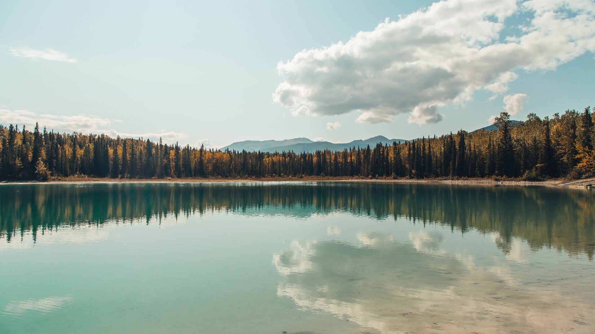 跨界风云，苏格兰足球征服阿尔及利亚，加克波在F1街道赛上演速度奇迹