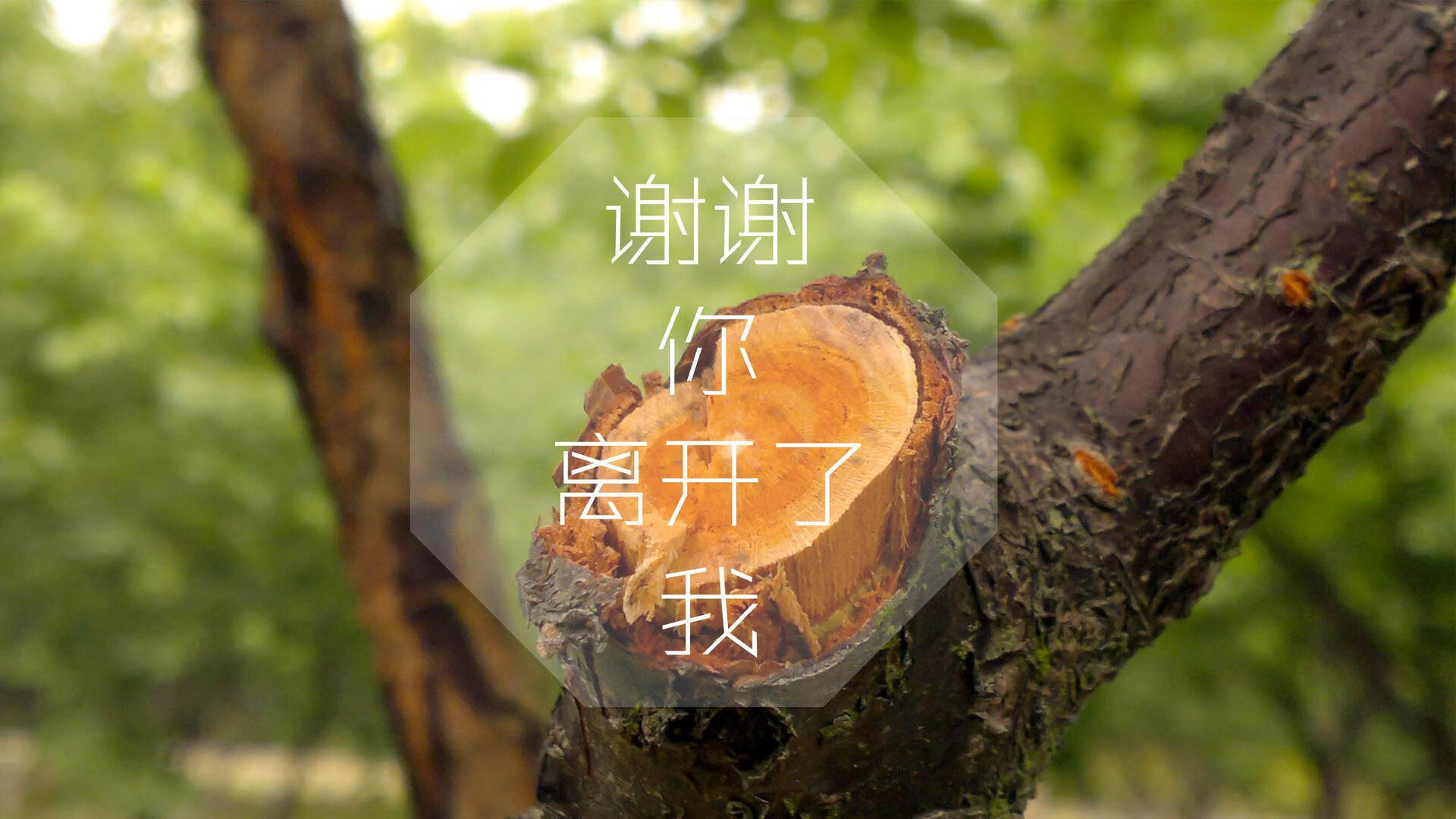 开云体育平台APP-逆袭之夜，西亚卡姆打破格局，汽车城上演奇迹