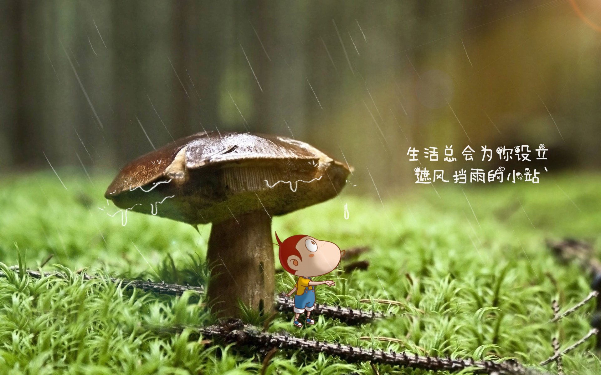 根据您的要求,我先扩展思维,拟定标题,再完成文章