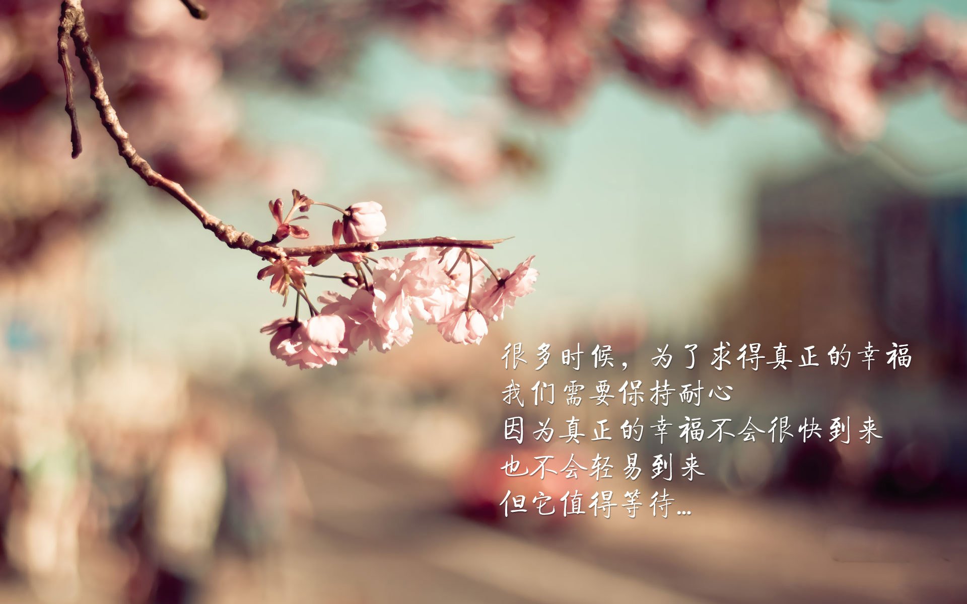 凯恩天蓝首秀炸场,3射1传助乌拉圭4-1伊拉克,F组死亡之组悬念再起