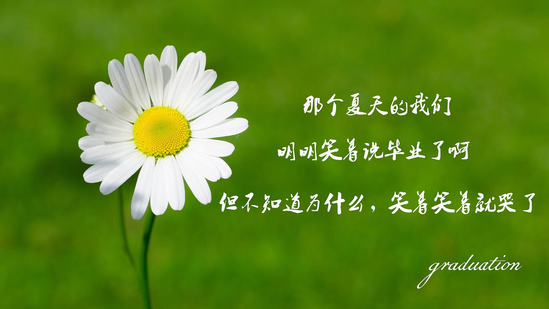 绿洲之上的唯一,2026揭幕战,当三笘薰的樱花刃划破墨西哥的太阳石